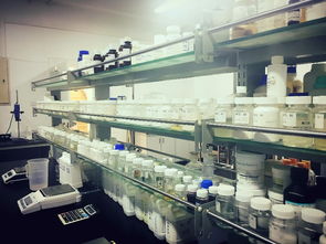 上海ODM精油代加工 化妆品工厂低价解决方案助力美容整形行业发展